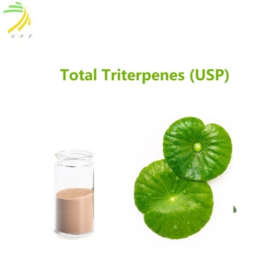 quality 90%Assay Herbal Extract Total Triterpenes (USP) Powder dengan Bau Karakteristik factory