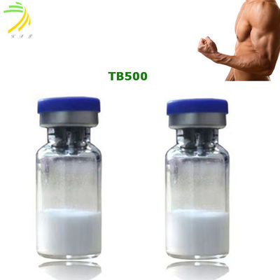 quality Thymosin Beta 4 Body Building Peptides Tb500 99% Kemurnian factory
