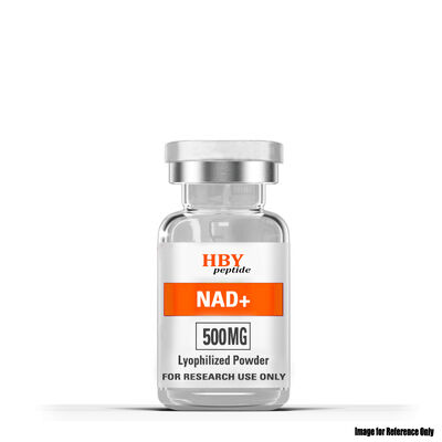 quality NAD+ Bubuk Lyophilized. Meningkatkan Energi Seluler & Penuaan Sehat factory